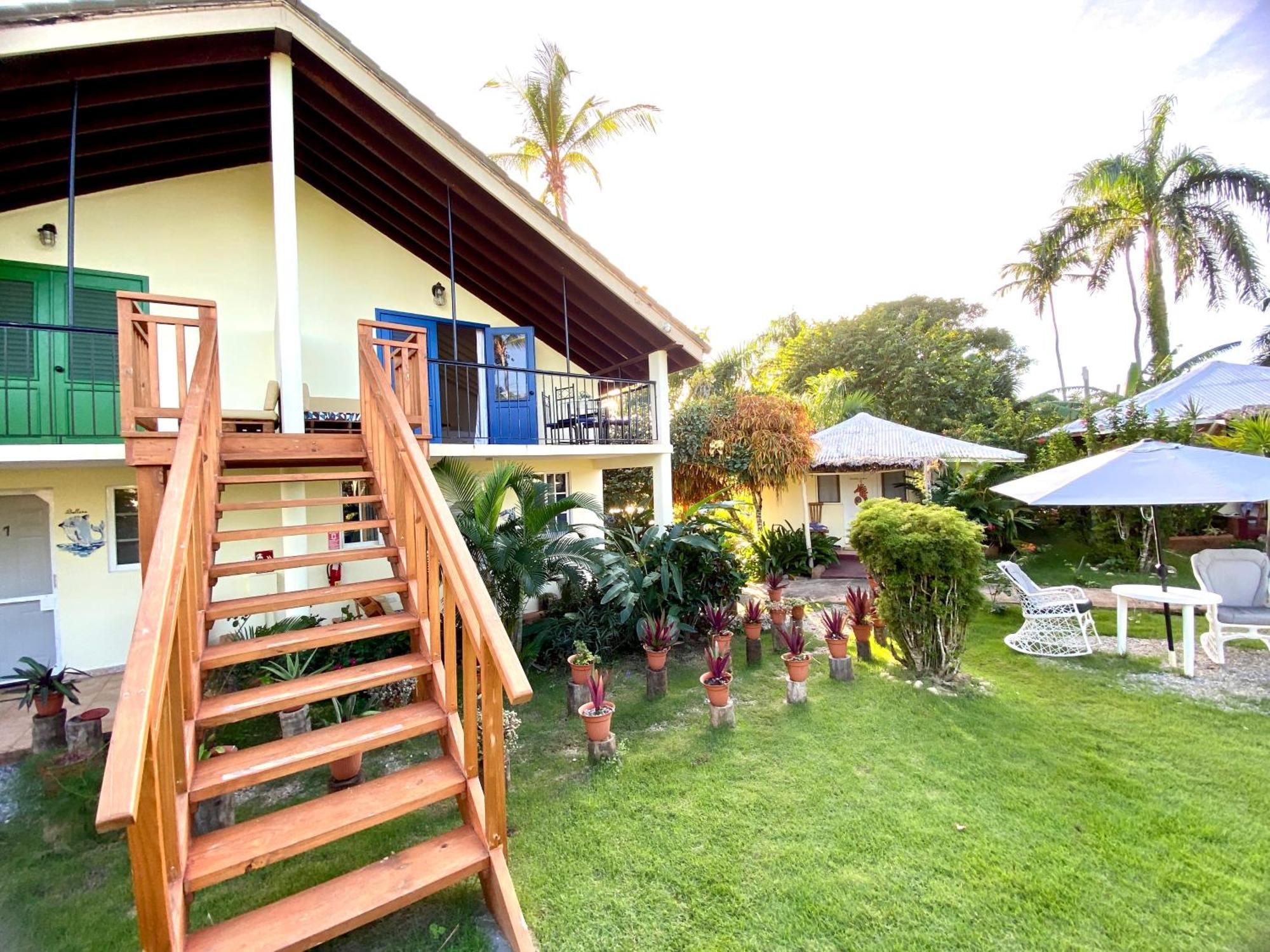 Arena Oceanview Hotel & La Terraza Restaurant Las Galeras Eksteriør billede
