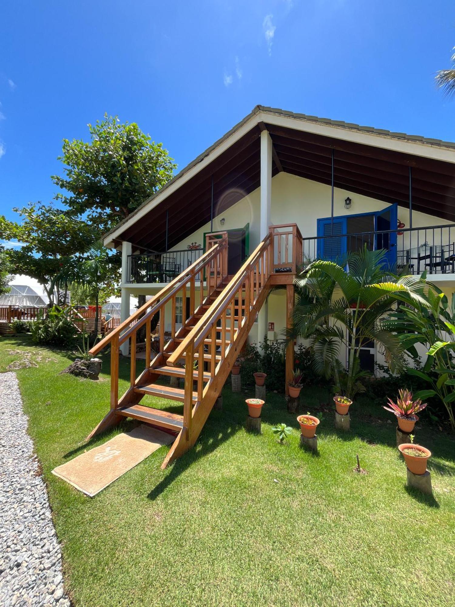 Arena Oceanview Hotel & La Terraza Restaurant Las Galeras Eksteriør billede