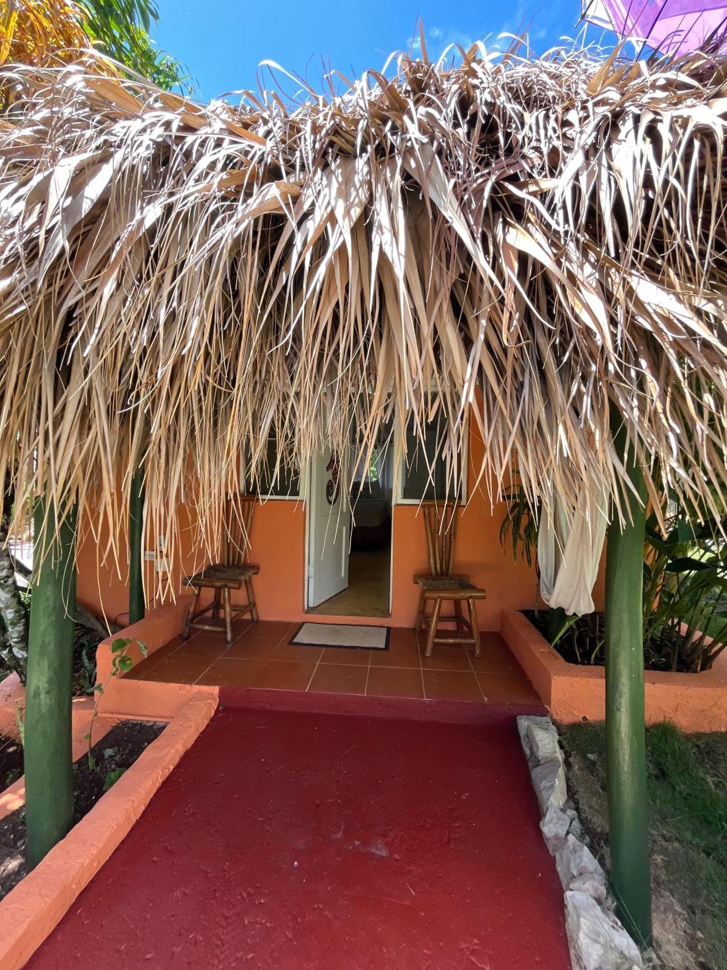 Arena Oceanview Hotel & La Terraza Restaurant Las Galeras Eksteriør billede